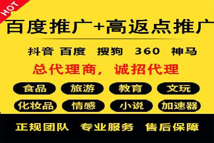 百度推广中的创意策略：成功案例解析与启示